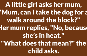 The Funniest Dog-Walking Disaster Ever