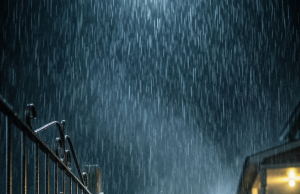 He had been sitting in the downpour for three days, waiting for a promise I had already forgotten.